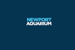 Newport Aquarium