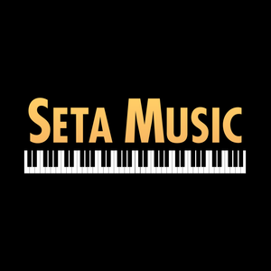 Baldwin Seta Music