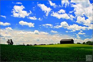 Thistlehair Farm