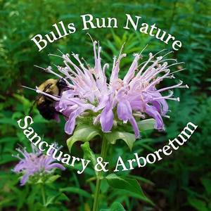 Bull's Run Nature Sanctuary and Arboretum