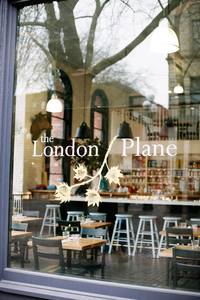 The London Plane